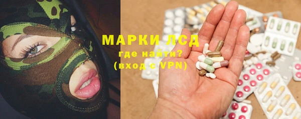 прущие крисы Аркадак